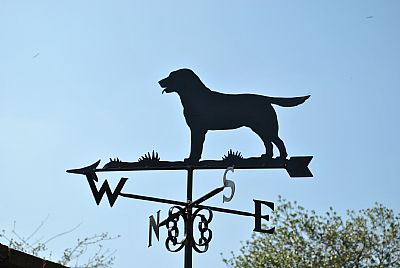 Labrador weather vane